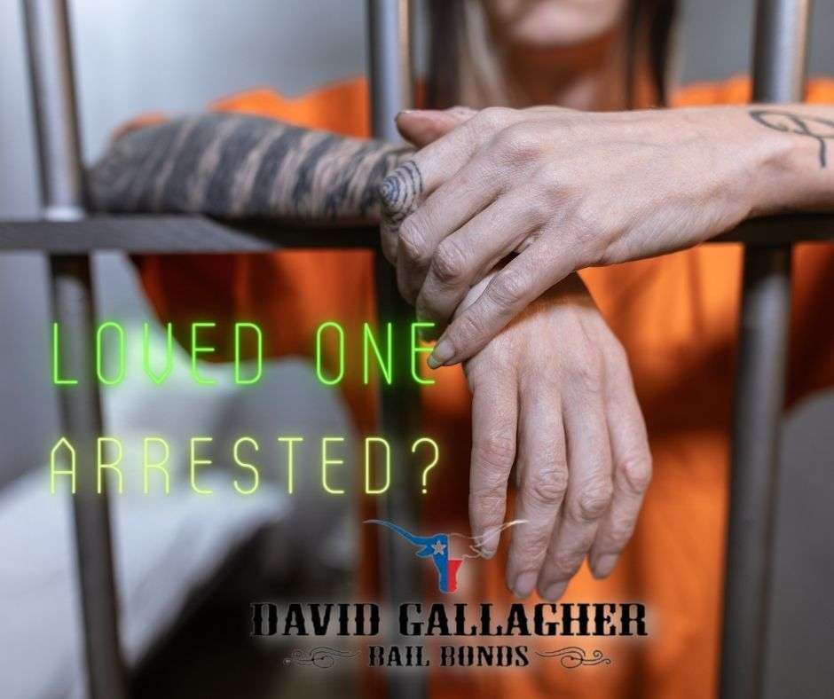 The Number One Priority of David Gallagher Bail Bonds