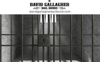 If You’re Looking for a Premier Provider of Bail Bonds, Look No Further