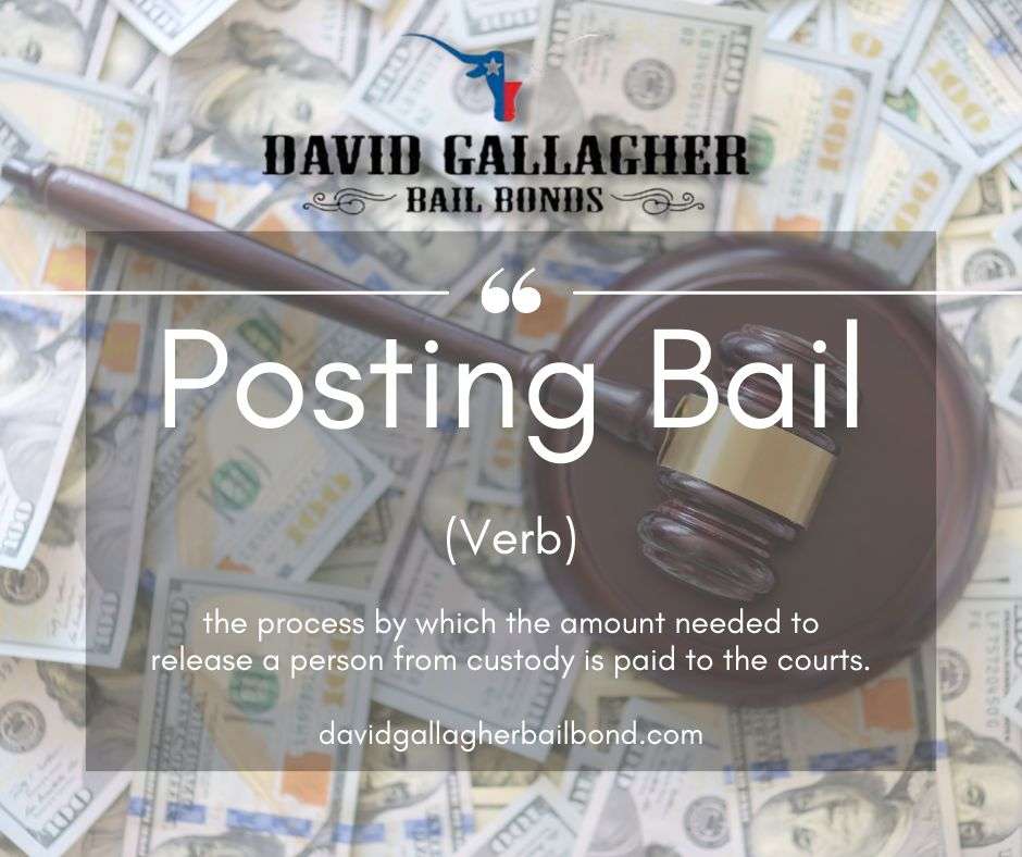 David Gallagher Bail Bonds